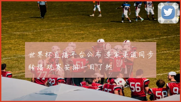 世界杯直播平台公布 多家渠道同步转播 观赛安排一目了然