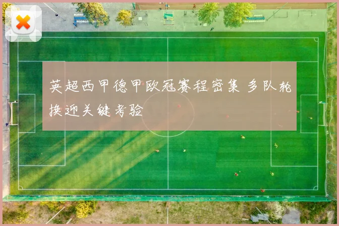 英超西甲德甲欧冠赛程密集 多队轮换迎关键考验