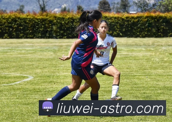 爱游戏ayx在线登录入口全站App 爱游戏ayx在线登录入口全站App