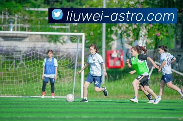 辅助工具 辅助工具